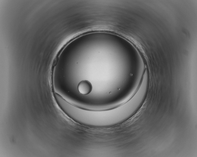 X0000111351342200907171135