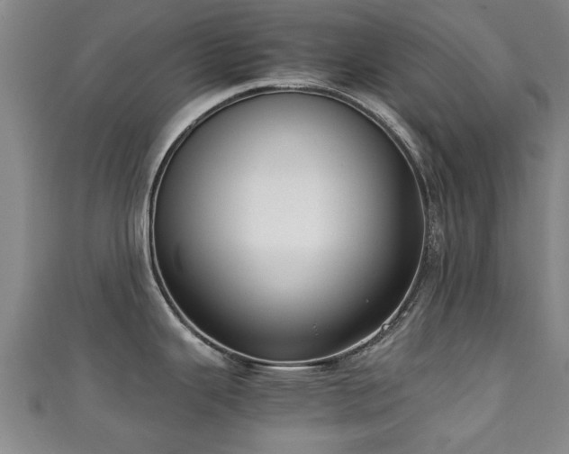 X0000111351343200907171135