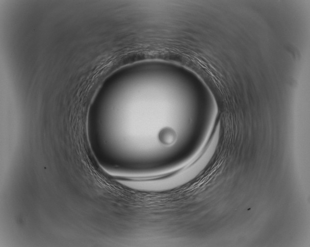 X0000111351345200907171134