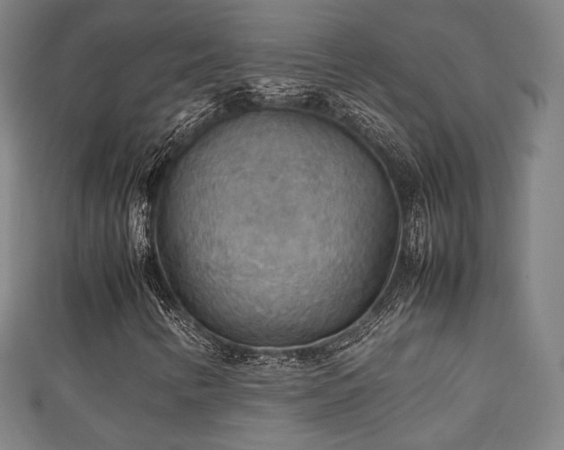 X0000111351346200907171134