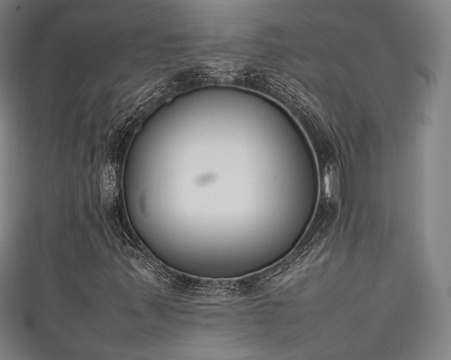 X0000111351347200907171134