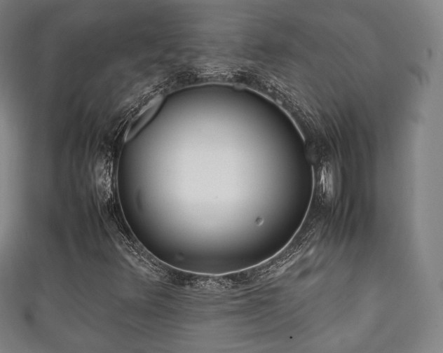 X0000111351348200907171134