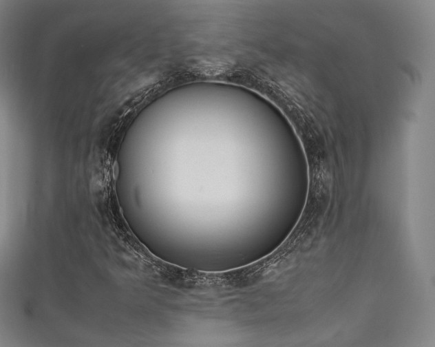 X0000111351349200907171134