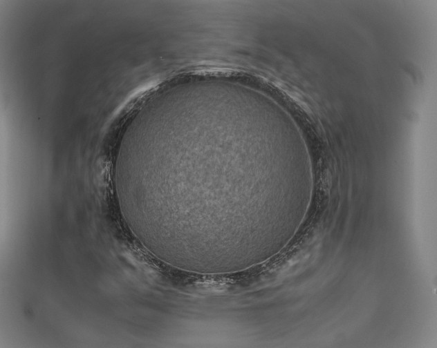 X0000111351351200907171134