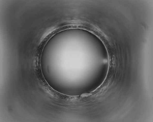 X0000111351352200907171134