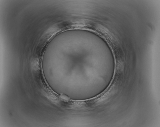 X0000111351353200907171134