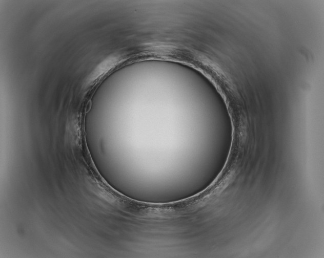 X0000111351354200907171134