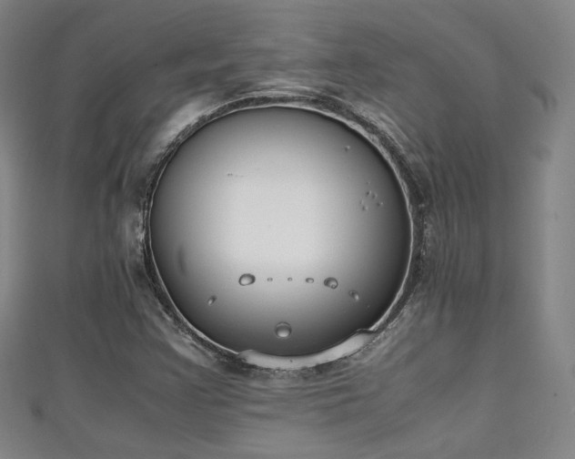 X0000111351355200907171134