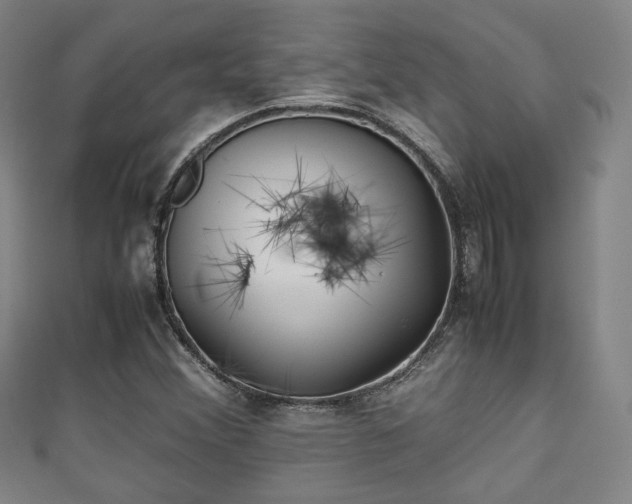 X0000111351356200907171134