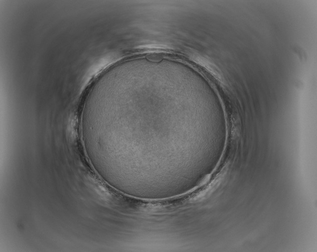 X0000111351357200907171134