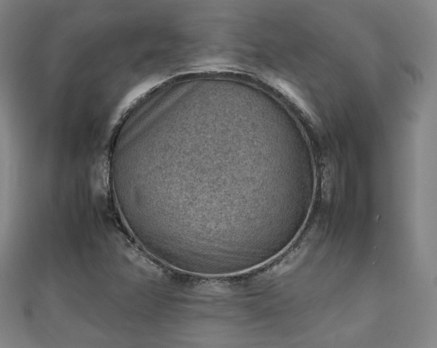 X0000111351358200907171134