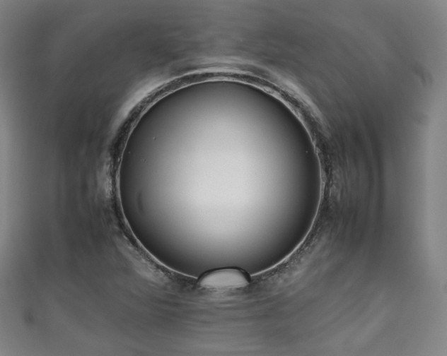 X0000111351360200907171134