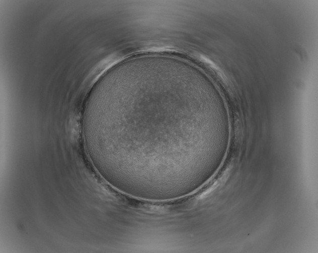 X0000111351361200907171134