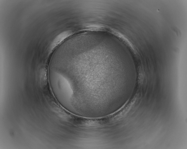 X0000111351362200907171134