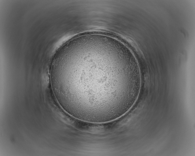 X0000111351363200907171134