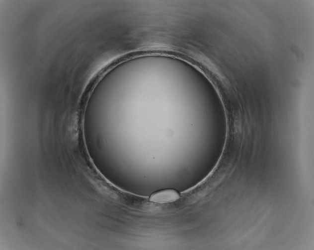 X0000111351364200907171134