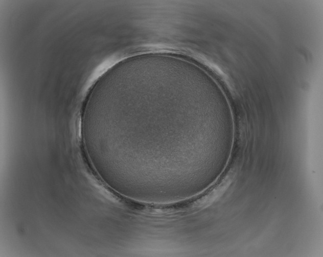 X0000111351365200907171134