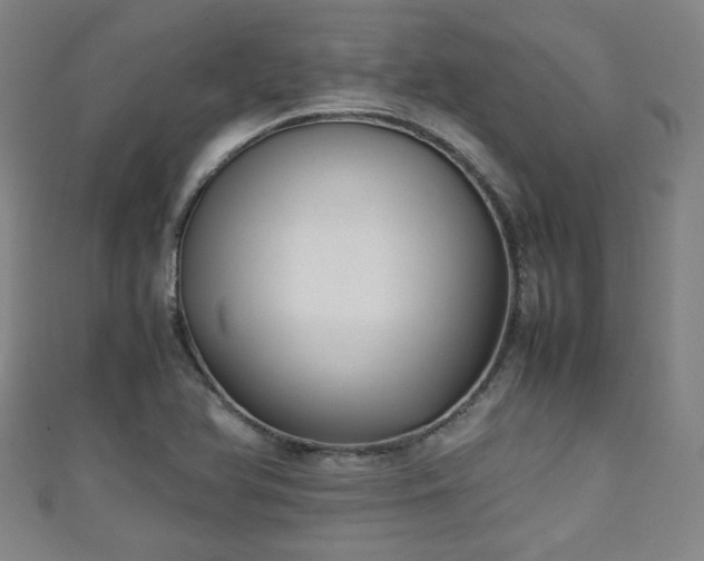 X0000111351366200907171134