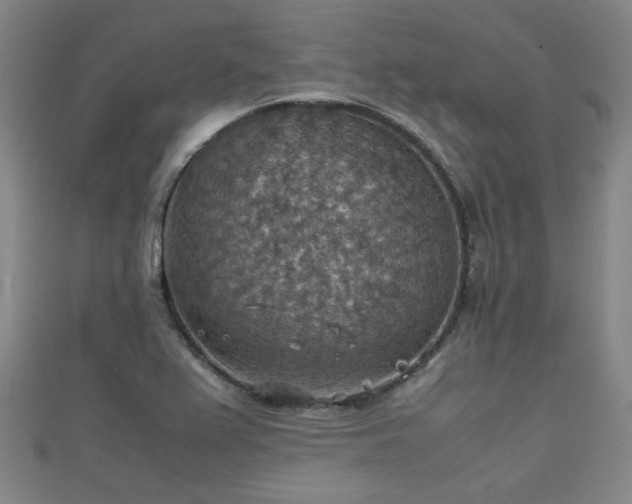 X0000111351367200907171134