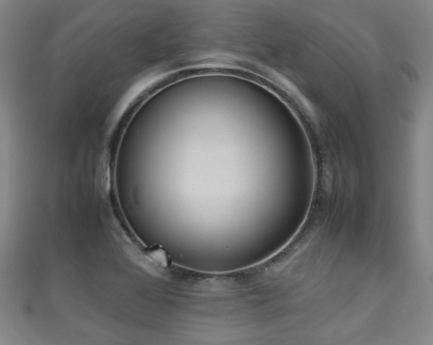 X0000111351368200907171134