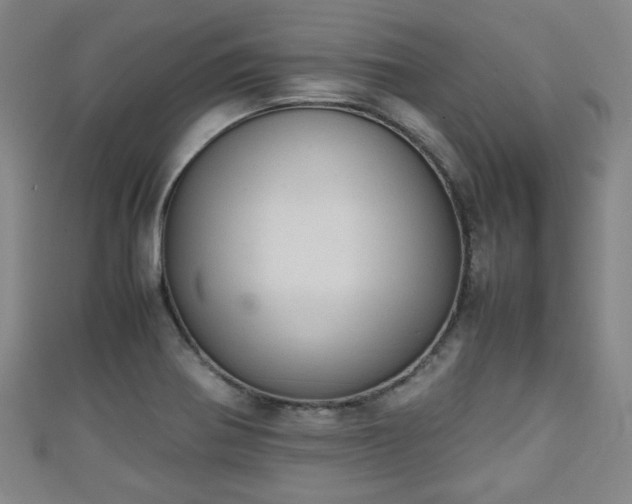 X0000111351370200907171134