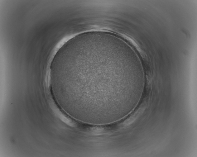 X0000111351371200907171134