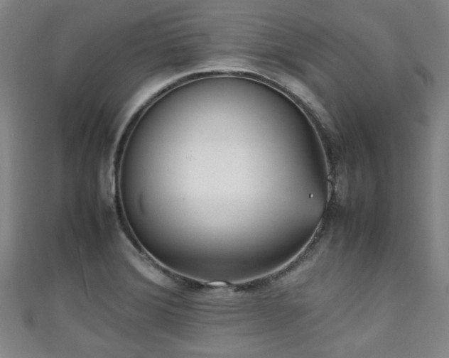 X0000111351372200907171134