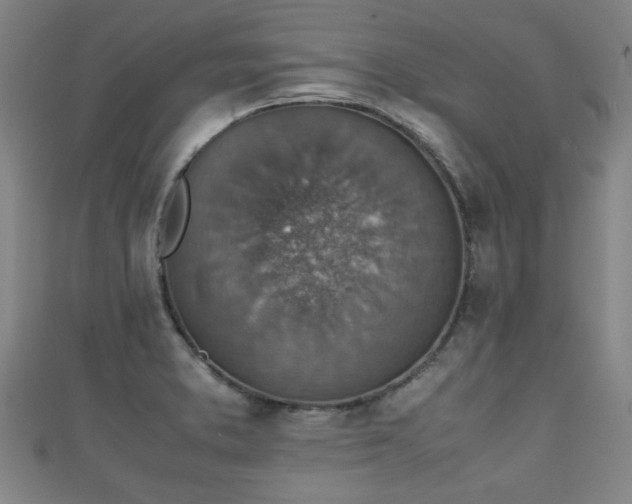 X0000111351373200907171134