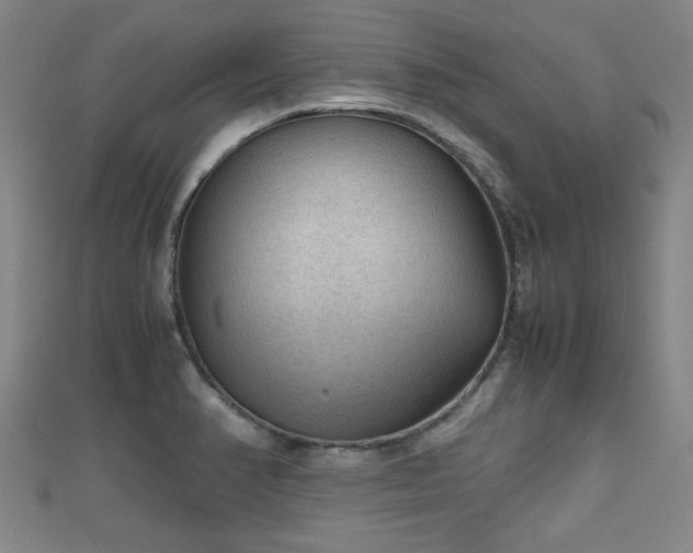 X0000111351374200907171134