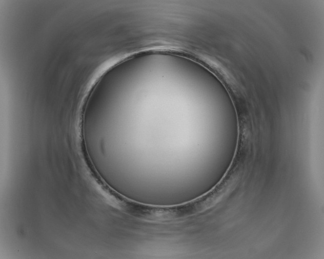 X0000111351375200907171134