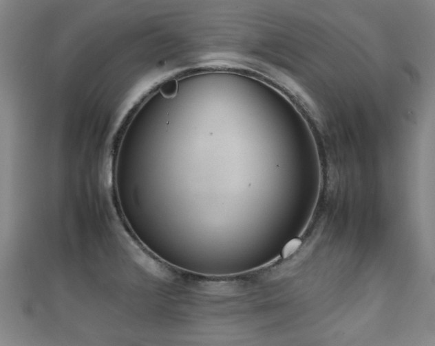 X0000111351376200907171134