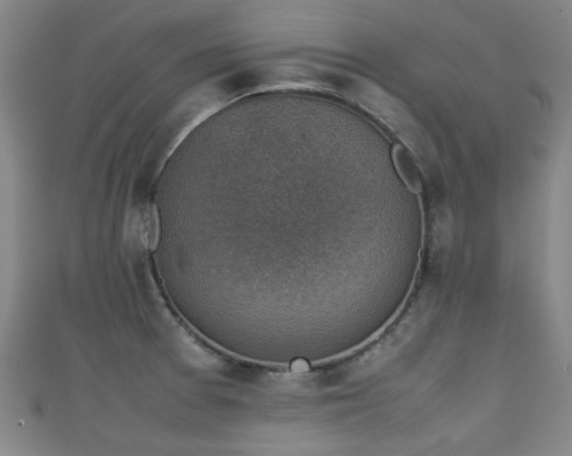 X0000111351377200907171134