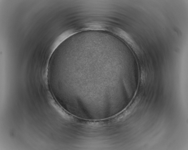 X0000111351378200907171134