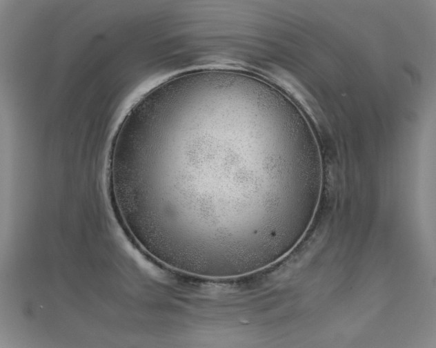 X0000111351379200907171134