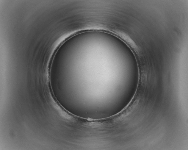 X0000111351380200907171134