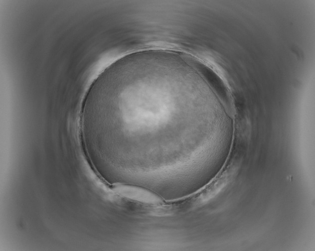 X0000111351381200907171134