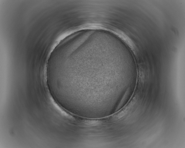 X0000111351382200907171134