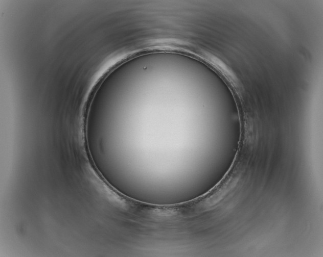 X0000111351384200907171134