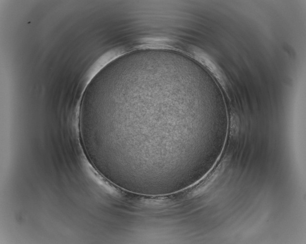 X0000111351386200907171134