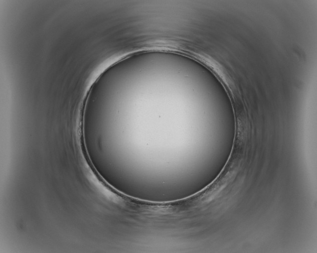 X0000111351387200907171134