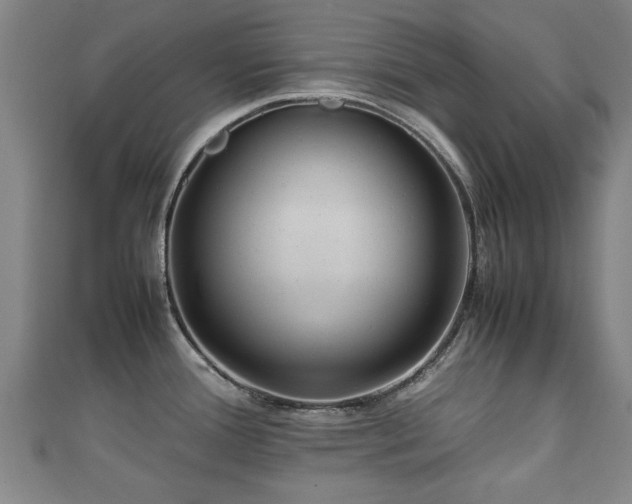 X0000111351388200907171134