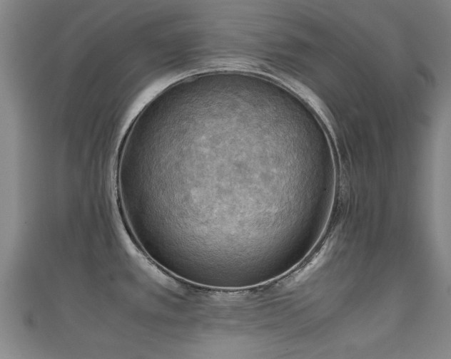 X0000111351389200907171134