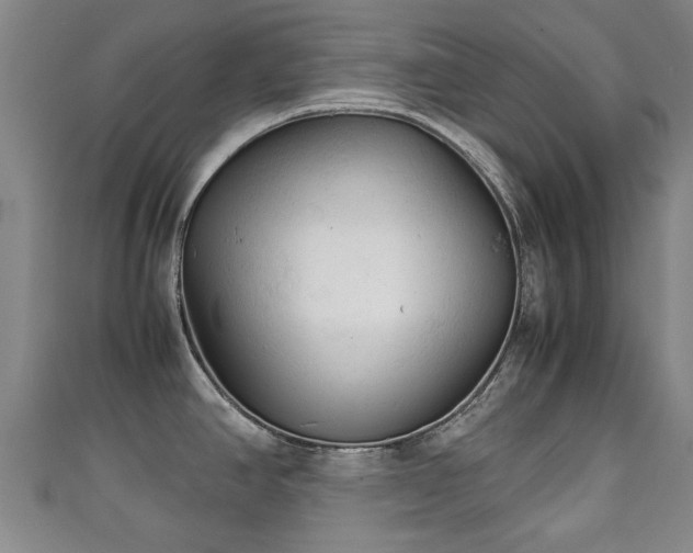 X0000111351390200907171134