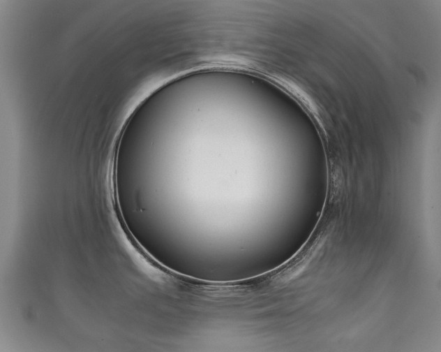 X0000111351391200907171134