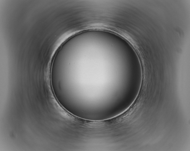 X0000111351392200907171134