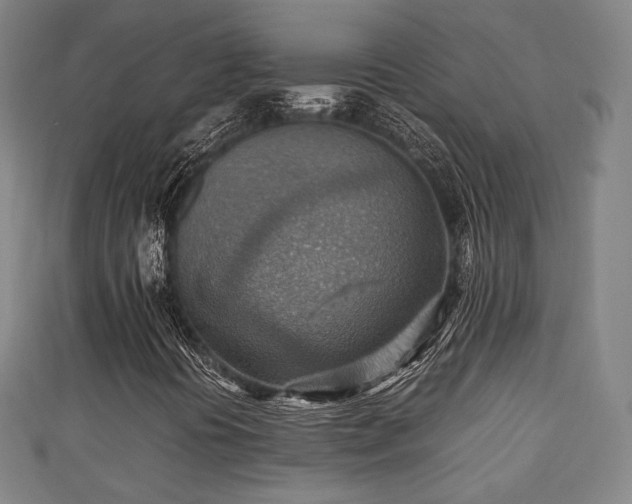 X0000111351394200907171133