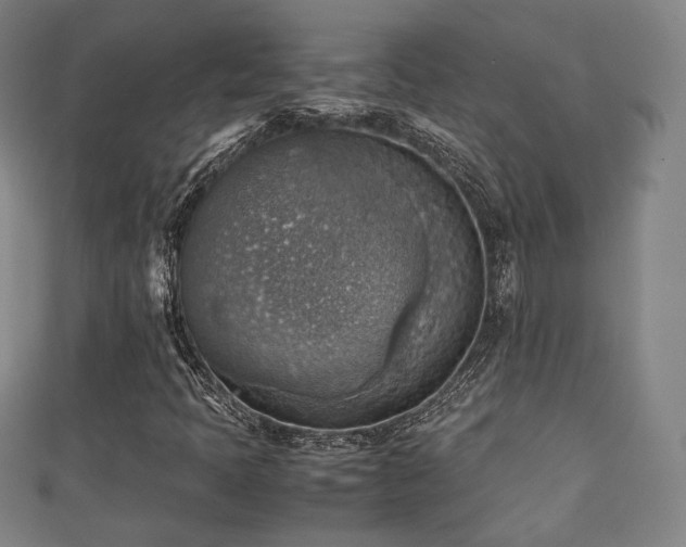 X0000111351397200907171133