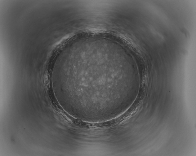 X0000111351398200907171133