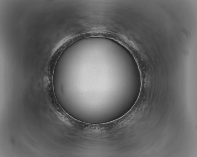 X0000111351400200907171133