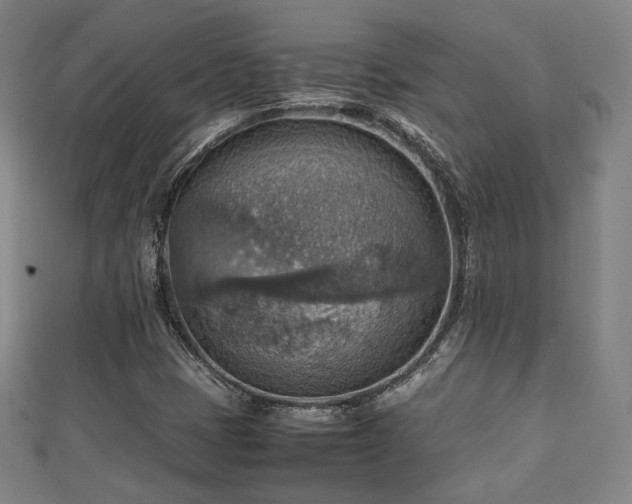 X0000111351401200907171133